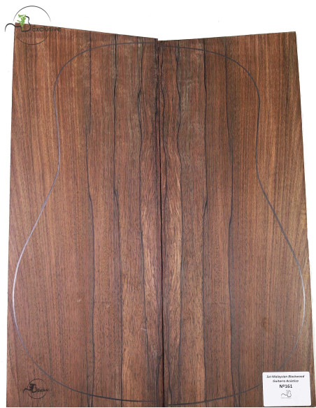 Jeu Malaysian Blackwood Guitare Acoustique MB Exclusive Nº161