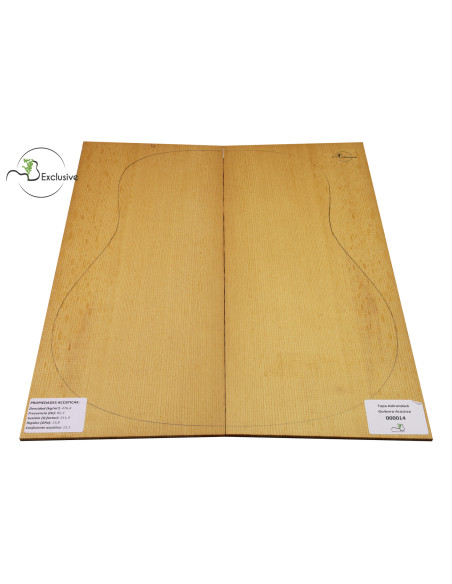 Tapa Adirondack Torrefactada Nº 000014 Guitarra Acústica MB Exclusive