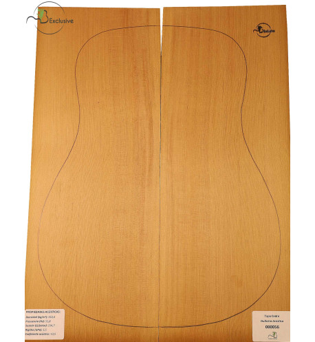 Red Cedar Acoustic Guitar Top MB Exclusive Nº 000056