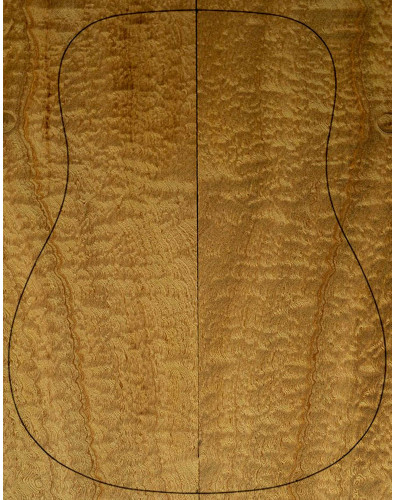 Fonds Sapelli Quilted... 2