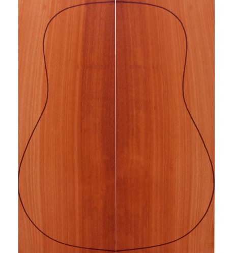 Bloowood Acoustic Guitar Backs