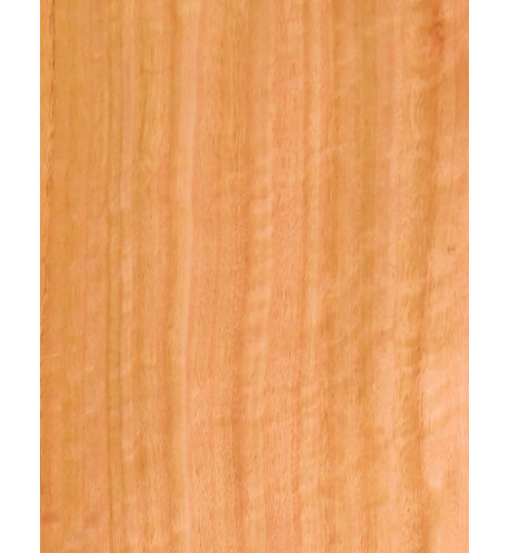 Curly Eucalyptus Veneer Sheet Marquetry 550x200x0,5mm