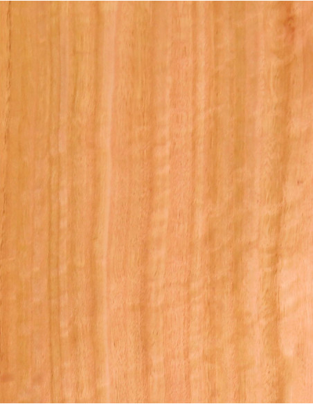 Feuille de Placage Eucalyptus Ondé Marqueterie 550x200x0,5mm