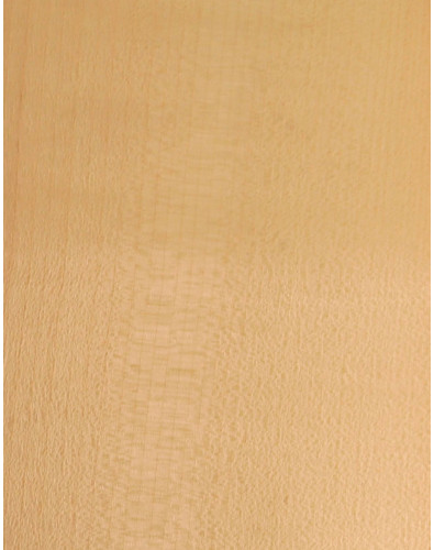 Sycamore Veneer Sheet Marquetry 550x200x0,5mm