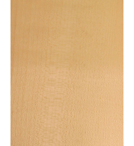 Sycamore Veneer Sheet Marquetry 550x200x0,5mm