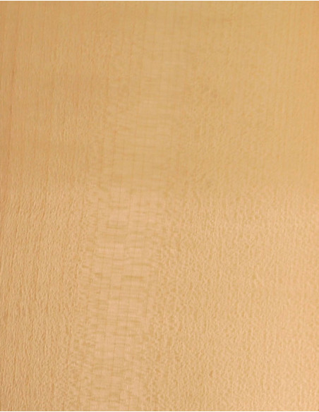 Sycamore Veneer Sheet Marquetry 550x200x0,5mm