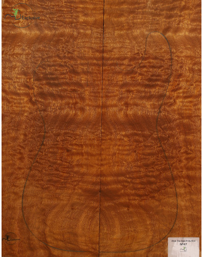 Drop Top Quilted Sapele MB...