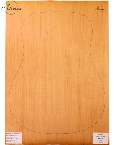 Red Cedar Acoustic Guitar...