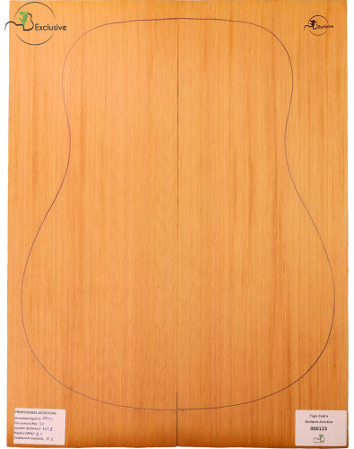 Tapa Cedro Rojo Nº 000123 Guitarra Acústica MB Exclusive