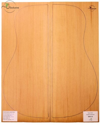 Red Cedar Acoustic Guitar...