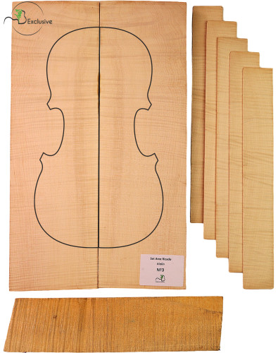 MB Exclusive Curly Maple...