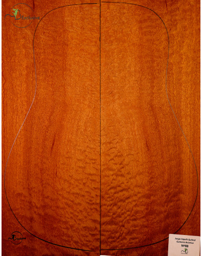 Jeu Guitare Acoustique...