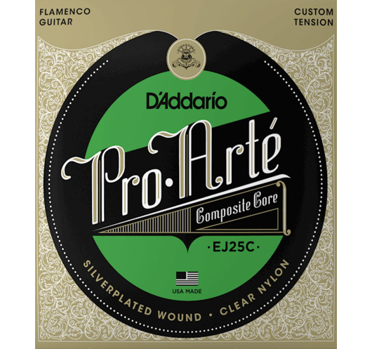 Flamenco Guitar EJ25C D'Addario...