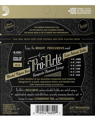 Jeu Cordes D'Addario... 2