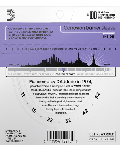 D'Addario Acoustic Guitar... 2
