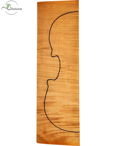 MB Exclusive Curly Maple... 2