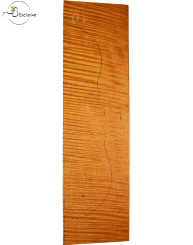 MB Exclusive Curly Maple... 2