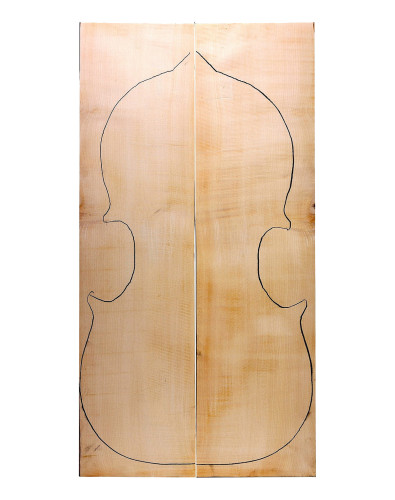 AA Curly Maple Cello Backs