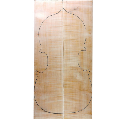 AAA Curly Maple Cello Backs