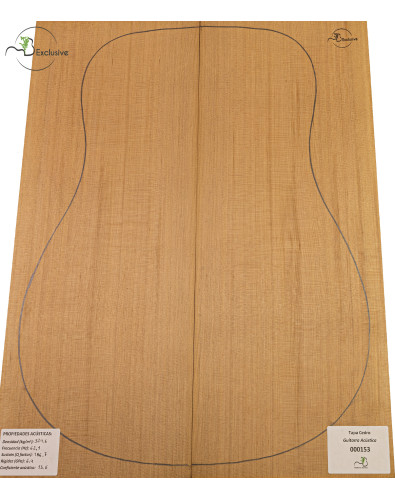 Red Cedar Acoustic Guitar...