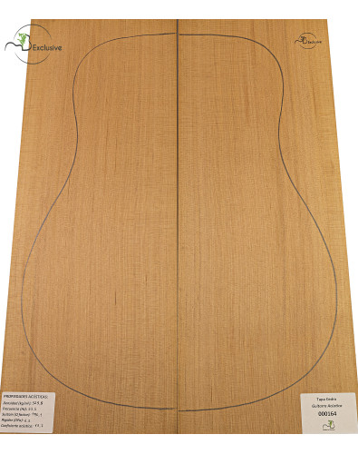 Red Cedar Acoustic Guitar...