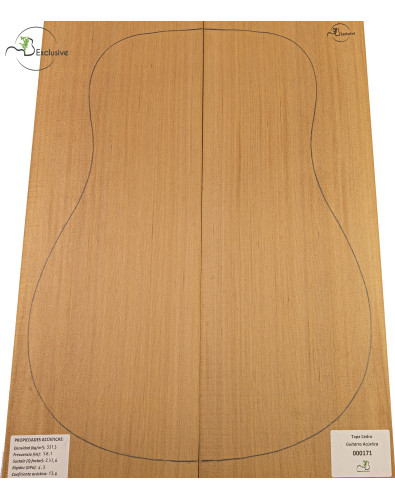 Red Cedar Acoustic Guitar...
