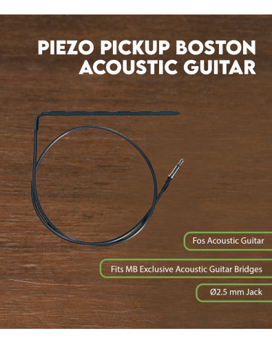 Piezo pickup Boston... 2