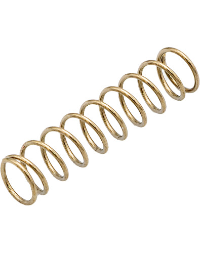 Muelle para Pastillas 21mm