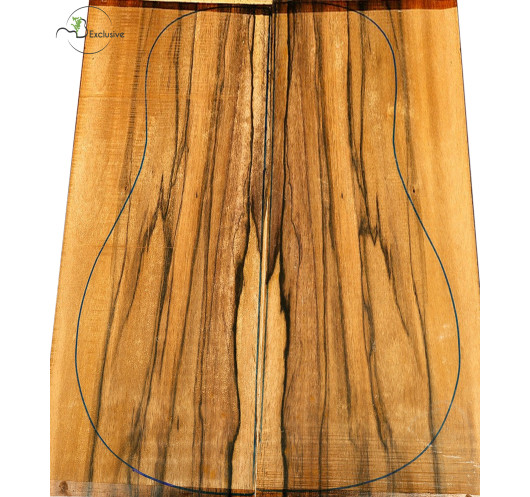 Exotic Ebony Set Nº13G Acoustic...