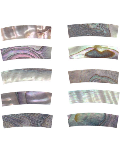 Pieza Abalone para Boca GOTOH DM-RST258 20x5x4,5 mm.
