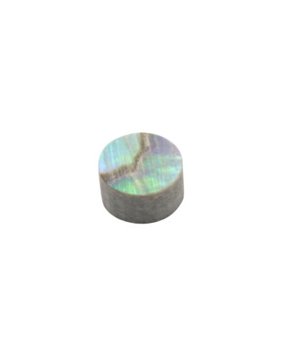 Abalone Marker Position...