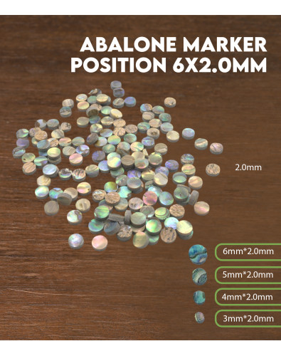 Marcador posición Abalón 6x2.0mm 2