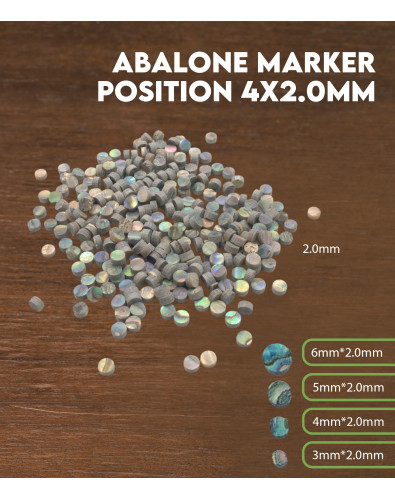 Marcador posición Abalón 4x2.0mm 2