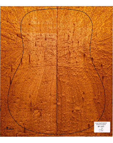 Jeu Guitare Acoustique Sapelli Quilted MB Exclusive Nº137