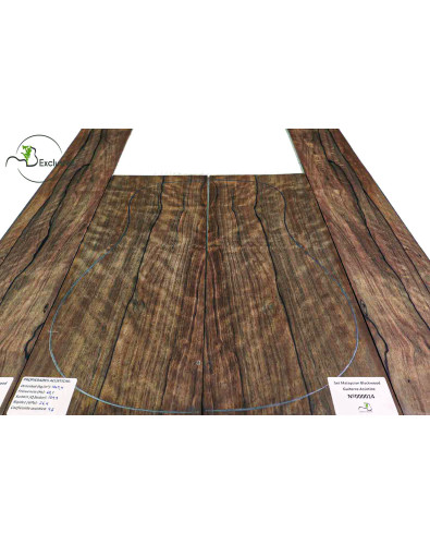 Master Malaysian Blackwood... 2