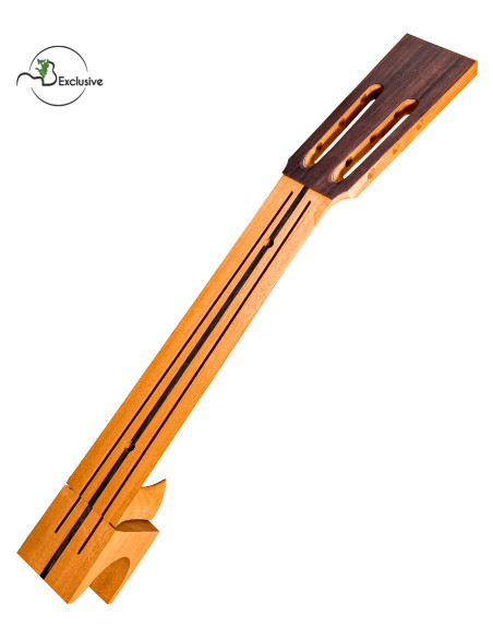 Manche Acajou Fiji Diapason 650 avec Tête en Palissandre Inde MB Exclusive
