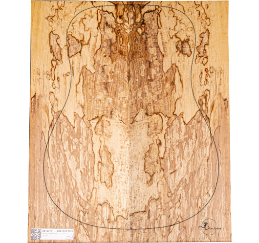 Jeu Hêtre Spalted Nº 3 Guitare Acoustique MB Exclusive