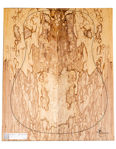 Jeu Hêtre Spalted Nº 3 Guitare Acoustique MB Exclusive