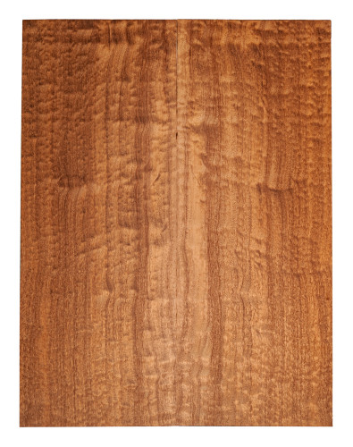 Carved Top Sapelli Pommelé 1ère Guitare/Basse Électrique 2