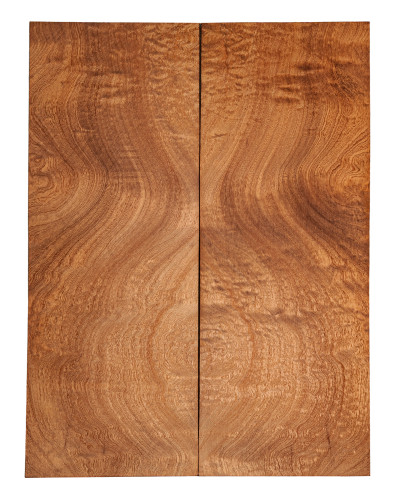 AAA Drop Top Sapele Quilted Bass / Electric Guitar 2