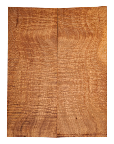 AAA Drop Top Sapele Quilted Bass / Electric Guitar