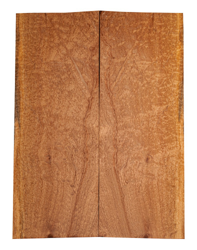 AA Drop Top Sapele Quilted Bass / Electric Guitar