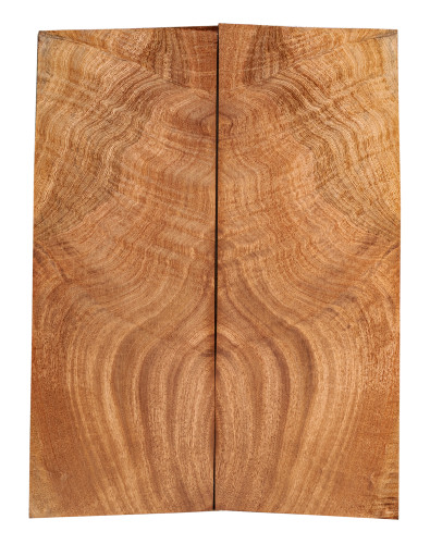 AA Drop Top Sapele Quilted Bass / Electric Guitar 2