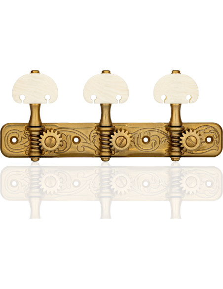Clavijero Gotoh 35G510AM X Gold marfil guitarra clásica vista general