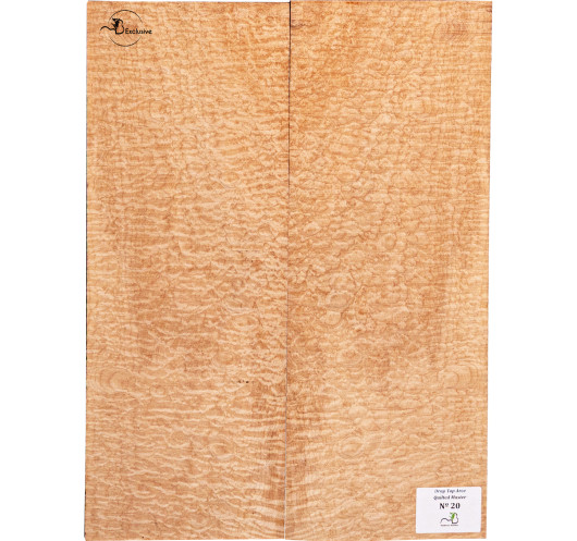 Drop Top Arce Quilted Master Guitarra...