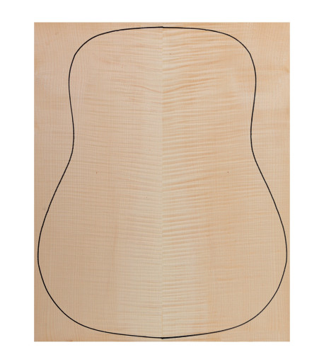 Plywood Maple + Sycamore acoustic guitar back