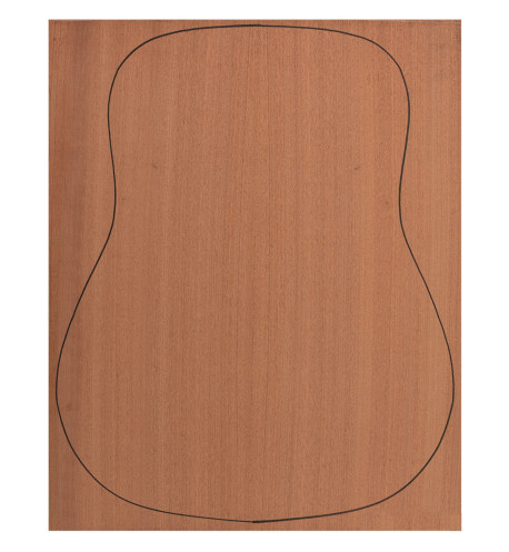 Back Sapele + Sapele plywood acoustic guitar