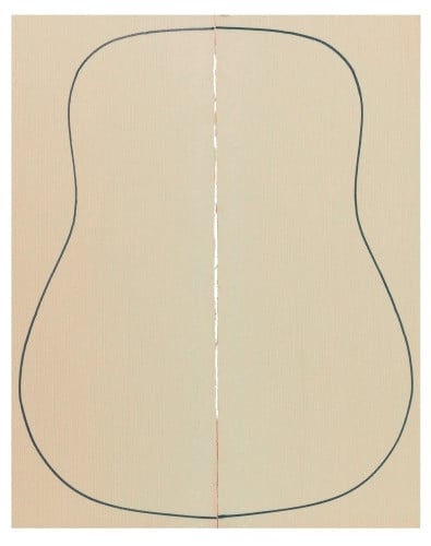 Abeto Engelmann Especial 2