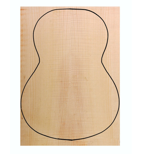 Fond Contreplaqué Érable Ondé 0,6 mm + Sycomore Guitare Classique
(550x400x2,2/2,4mm.)x2