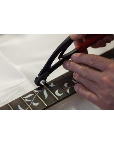 Extractor de Traste Ergonómico 2